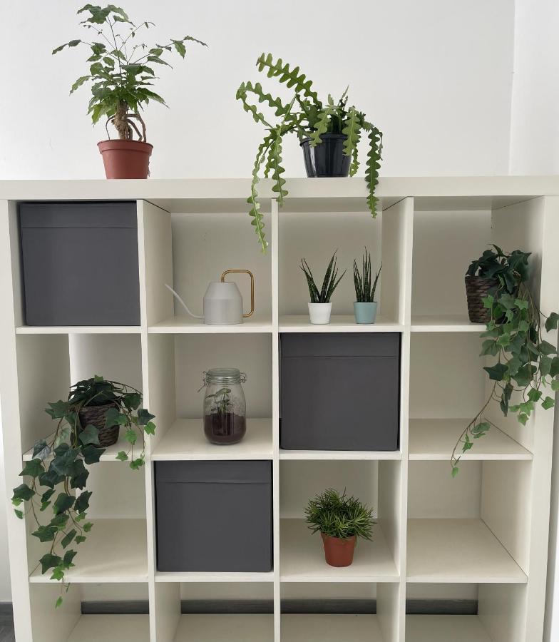 Ami House Roma Apartment Ngoại thất bức ảnh
